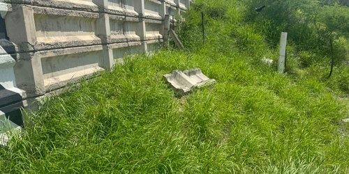 Puente de carretera libre a Cerritos no presenta daños estructurales