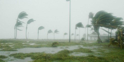 Tormenta tropical 'Nora' amenaza con impactar Baja California Sur como huracán