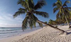Agencias de viajes repuntan 70% en ventas para este verano