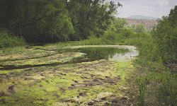 Acuífero  baja 5.5 metros por falta de lluvias en El Refugio y Rioverde