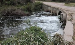 SASAR aún no detecta las descargas de aguas clandestinas al río Verde