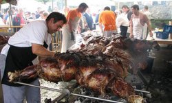Cocinarán vaca de media tonelada parrilleros de Rioverde
