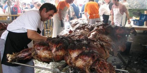 Cocinarán vaca de media tonelada parrilleros de Rioverde