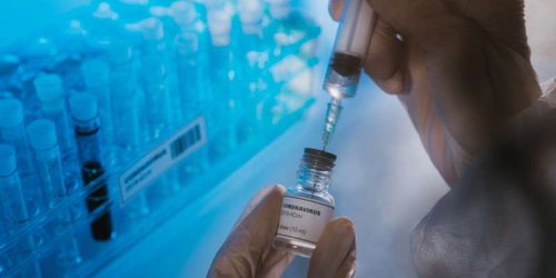 México tendrá 51.6 millones de dosis de vacuna a través de COVAX, señala la SRE
