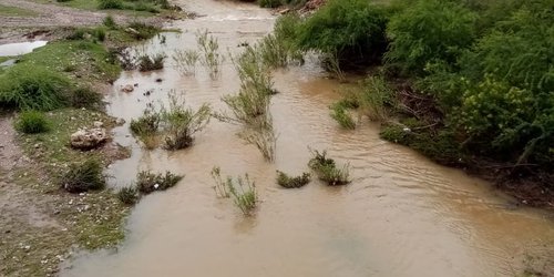 Siguen cerrados vados en la ribera; Protección Civil mantiene monitoreo