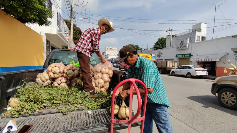 venta_de_jicama_mirioverde.jpeg