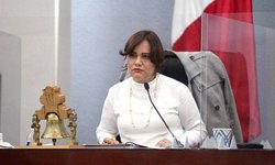 Denuncia el Congreso hechos aparentes de delito donde está involucrado un vehículo oficial: Dip. Vianey Montes