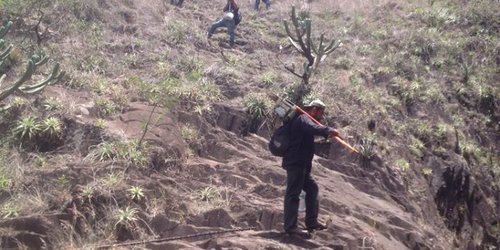 Reportan incendio en sierra Labor de Bagres de Rioverde