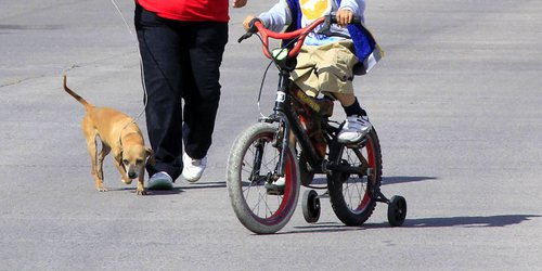 En fase 3 ya es peligroso salir a correr, caminar o pasear a sus mascotas: Protección Civil