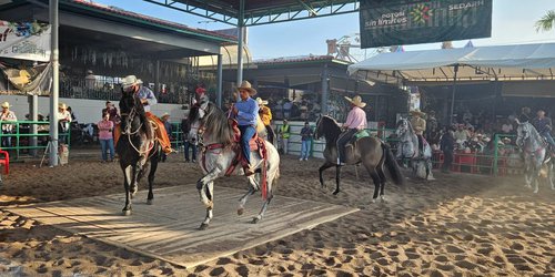 Campeonato Nacional de Caballos bailadores en Fenapo 2026
