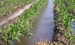 Sistema de riego rioverdense fue modelo a nivel nacional