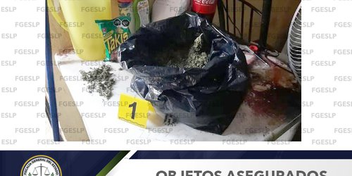 Decomisan marihuana durante cateo en vivienda de Tamazunchale