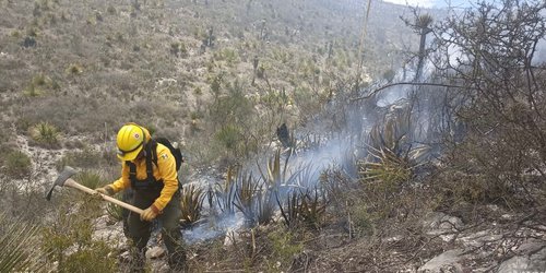Gobierno del Estado coordina acciones de combate de incendio en Charcas