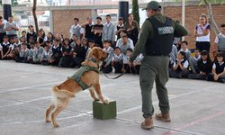 Gobierno Estatal fortalece prevención digital en escuelas