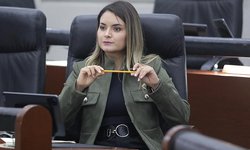 Proponen dar plazo de 15 días para emplacar autos nuevos en SLP