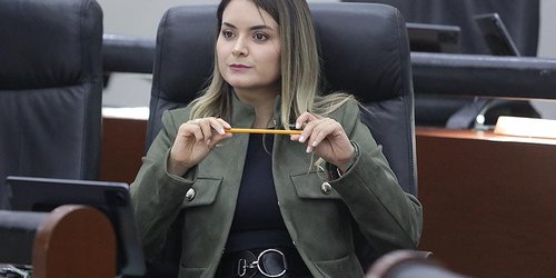 Proponen dar plazo de 15 días para emplacar autos nuevos en SLP