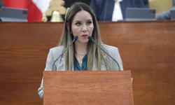 Proponen castigar con mayor severidad conductas que pongan en riesgo a la población en espacios públicos