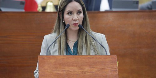 Proponen castigar con mayor severidad conductas que pongan en riesgo a la población en espacios públicos