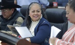 Avances importantes para la integración de mujeres en cargos de elección