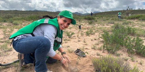 SLP conmemoró el Día del Árbol con reforestación