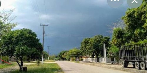 Confirman dos casos de gusano barrenador en humanos en San Luis Potosí