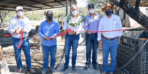 Apoya JM Carreras a mezcaleros de la región centro del Estado