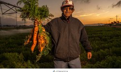 CONAGUA llama a productores a regularizar sus títulos de concesión antes del 29 de abril