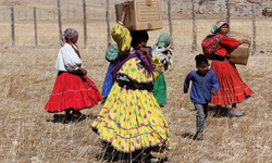 Activistas denuncian en la Segob la violencia y el desplazamiento forzado que sufre la Sierra Tarahumara.