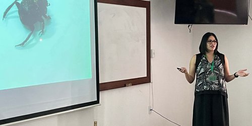 Los científicos alertan sobre el impacto de los antiparasitarios del ganado en los escarabajos coprófagos y los ecosistemas