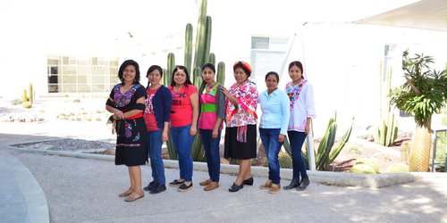 Promueve COPOCYT programa para incorporar mujeres indígenas a posgrados