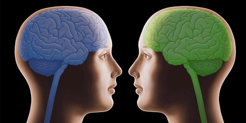 Gemelos idénticos, ¿cerebros distintos?