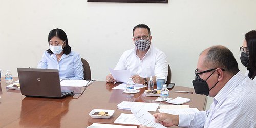 Proyectan consulta a los pueblos originarios en temas electorales, de salud y asistencia social