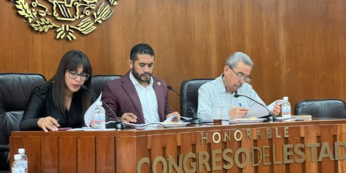 Aprueban exhorto a la CFE para que revise quejas sobre recibos: Dip. Carlos Arreola Mallol