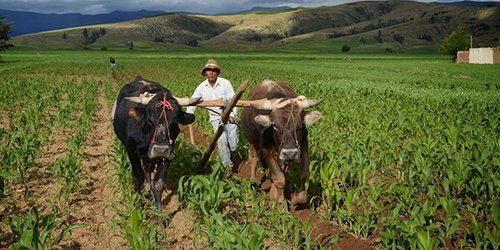 SEDARH reconoce a las y los trabajadores agrícolas en su día