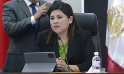 Dip. Diana Ruelas presenta iniciativa de reforma para garantizar el derecho a la identidad de las y los hijos
