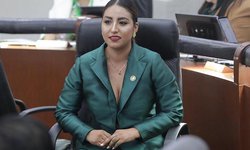 Legisladoras respaldan estrategia de seguridad de Ricardo Gallardo