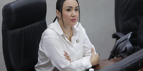 Analizan iniciativa para expedir Ley de Derechos Lingüísticos para el Estado