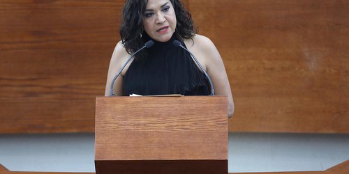 Iniciativa para aplicar medidas y vigilancia especial a centros de tratamientos de adicciones: Dip. Emma Idalia Saldaña