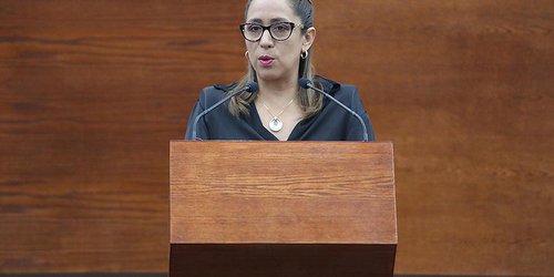 Diputada Liliana Flores presenta iniciativa par expedir la Ley de Parques del Estado