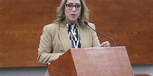 Por crisis hídrica se deben buscar alternativas turísticas distintas a los parajes naturales: Liliana Flores