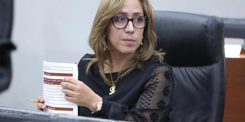 Positivo proyecto de ampliación de aeropuertos de Matehuala y Tamuín: diputada.