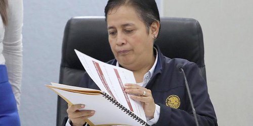 Falta atención a problema de bullying en escuelas, reconoce diputada