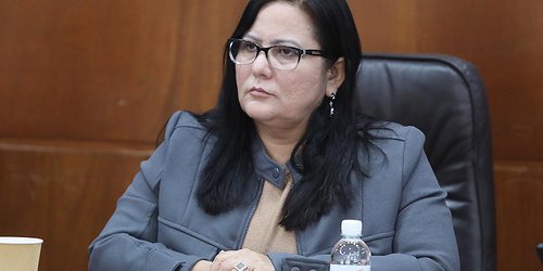 Proponen castigar con cárcel la difusión mediante fotografías o videos de actos de maltrato animal