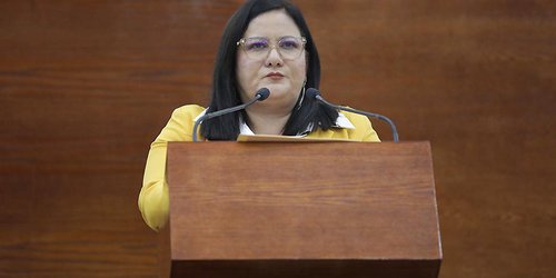 Presentan iniciativa para prohibir la venta de mascotas y especies silvestres a través de medios digitales