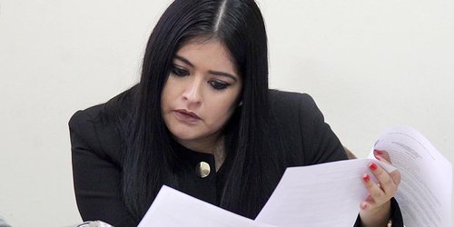 Positivo elevar a rango constitucional los programas sociales