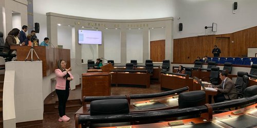 Quienes tengan sentencia por violencia política en razón de género no podrán pertenecer al Comité de Participación Ciudadana