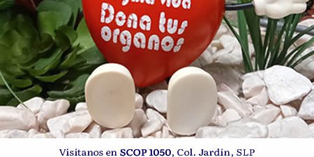 Donar órganos es un acto de amor y solidaridad