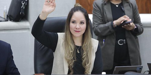 Plantean centros municipales para atender animales en situación de calle
