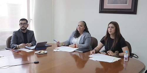 Buscan ampliar protección a las abejas con reforma sobre plaguicidas en San Luis Potosí