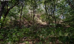 Exploran El Yesal, una de las ciudades mayas más grandes de las tierras bajas centrales.
